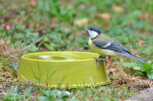 脱水症状と体の水